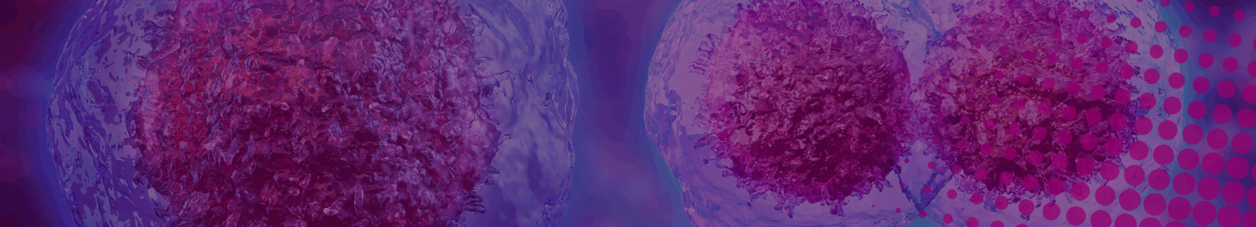 Banner Image of Introduction Page