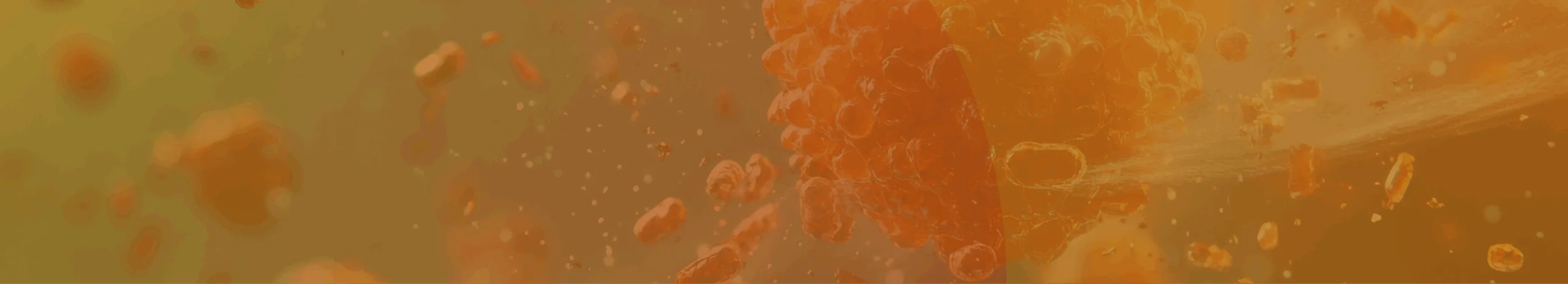 Banner Image of Press Release Page