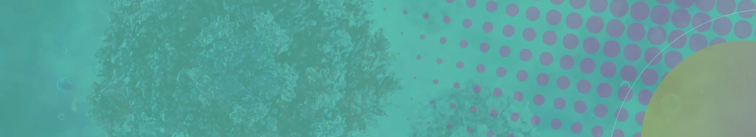 Banner Image of Case Study Page