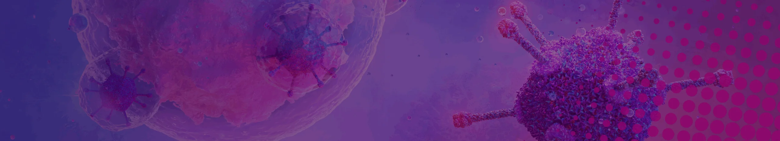 Banner Image of Vision Page